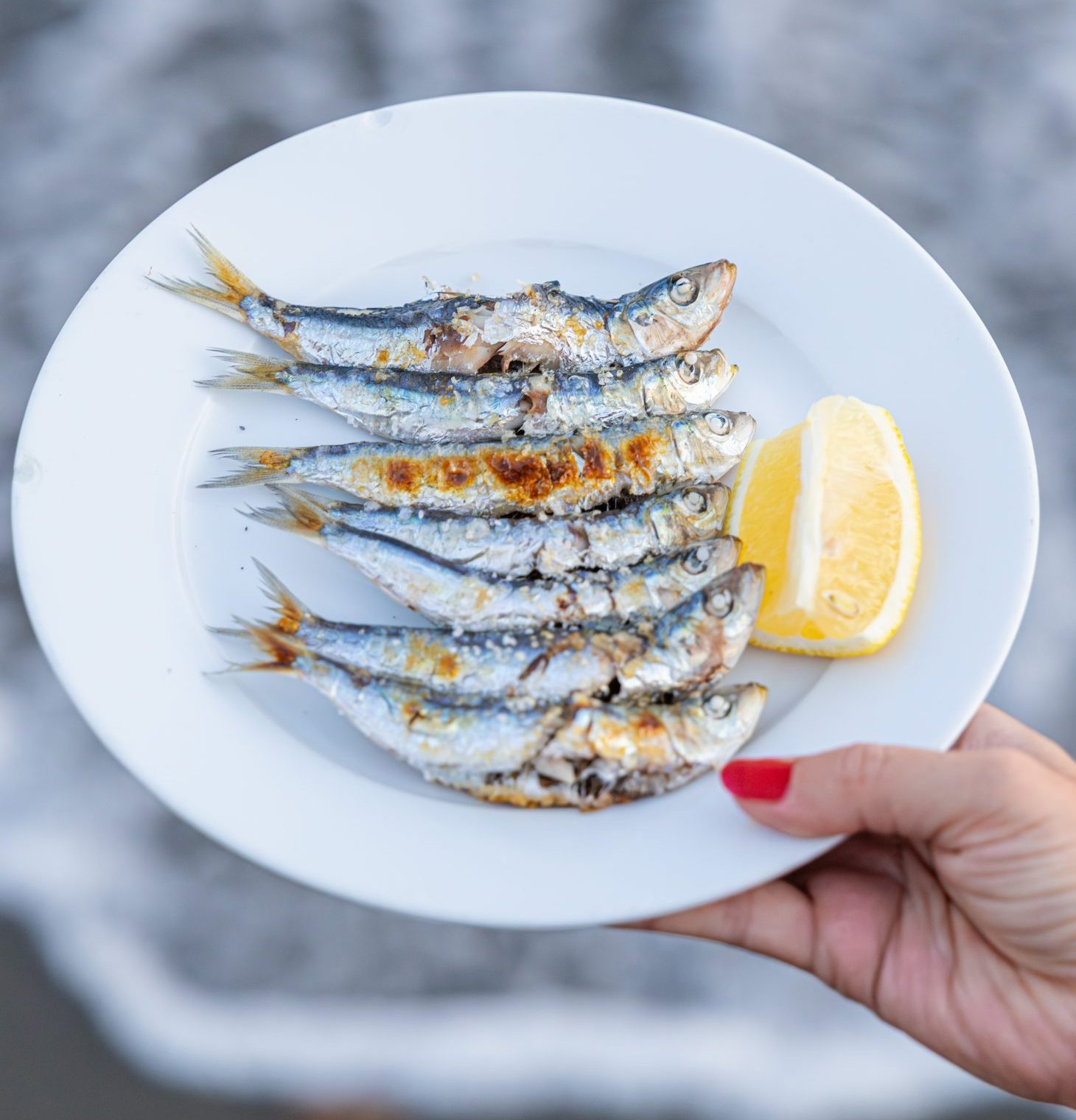 Plato La Mar de Fría