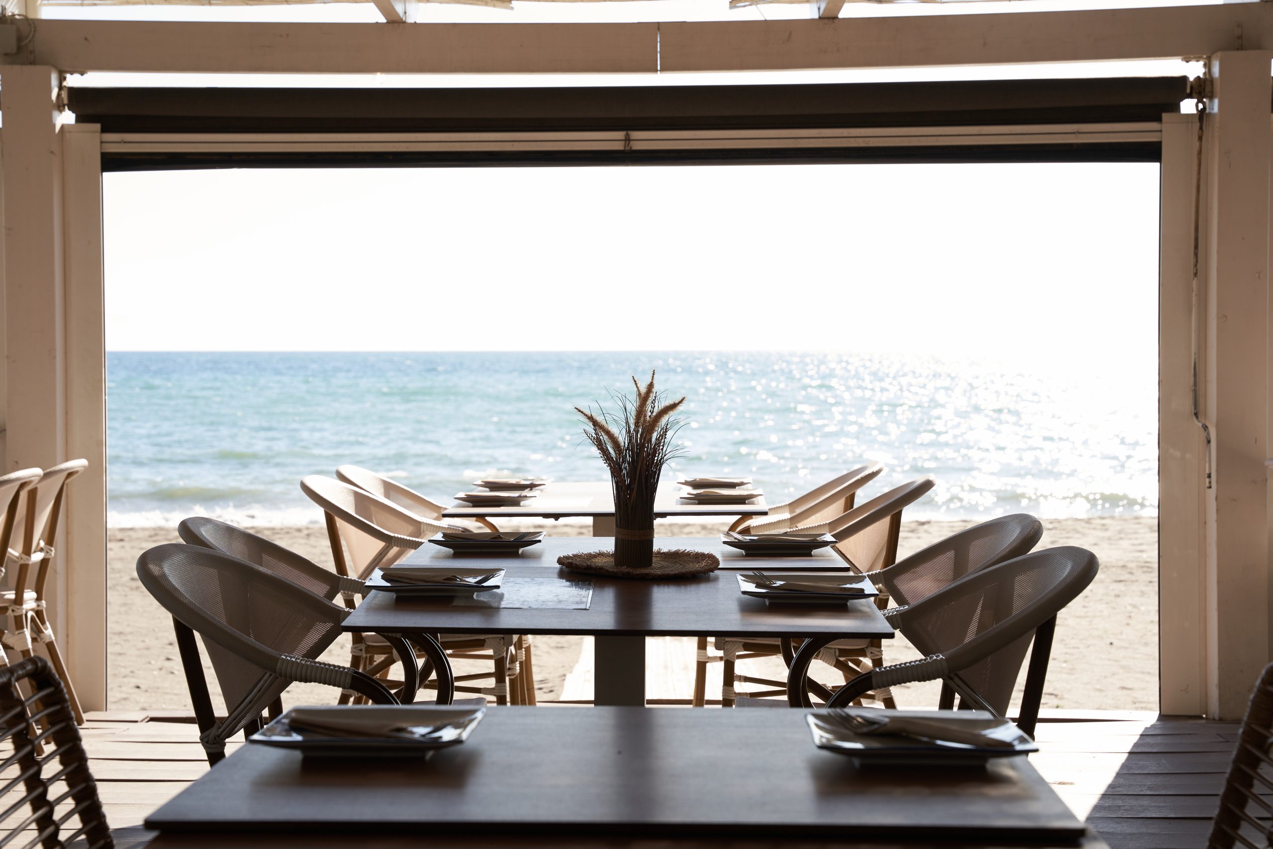 Oasis Beach Club